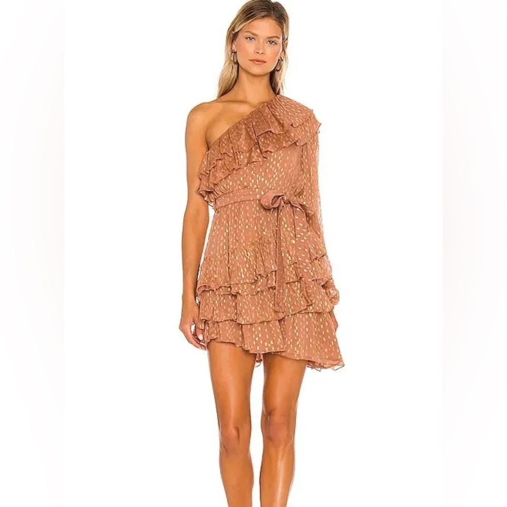 NWT rococo sand dress - Aine